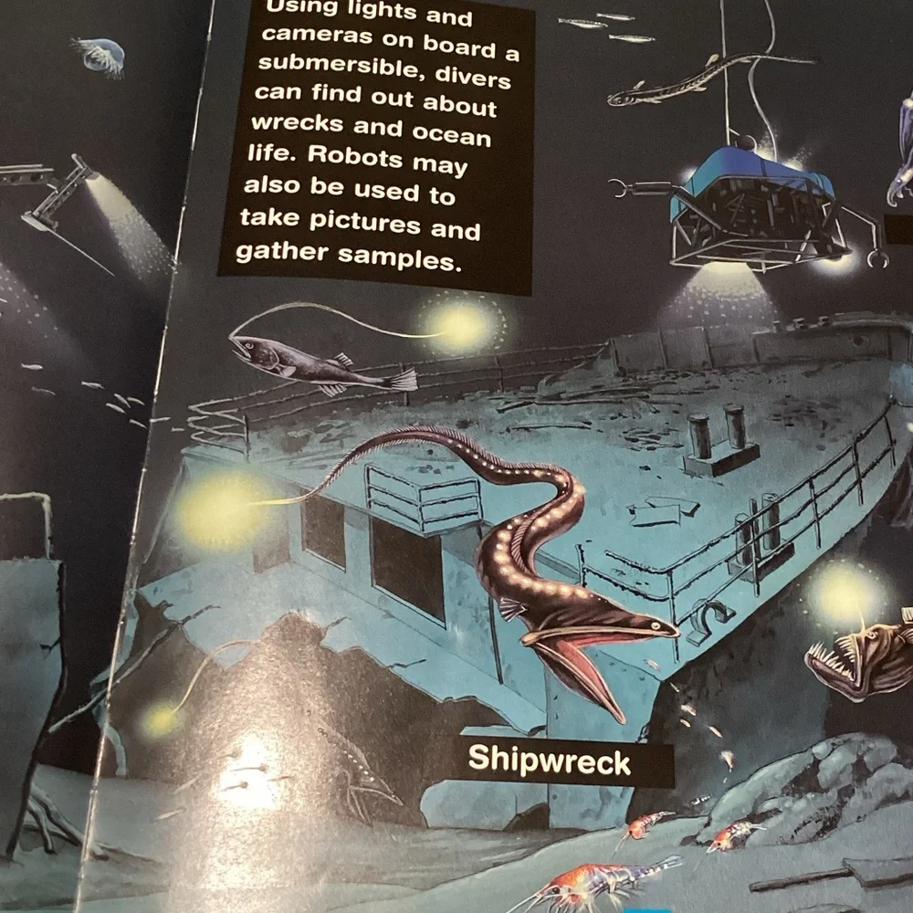 The Glow in the Dark Book of Ocean Creatures by Nicholas Harris - Picture 7 of 7